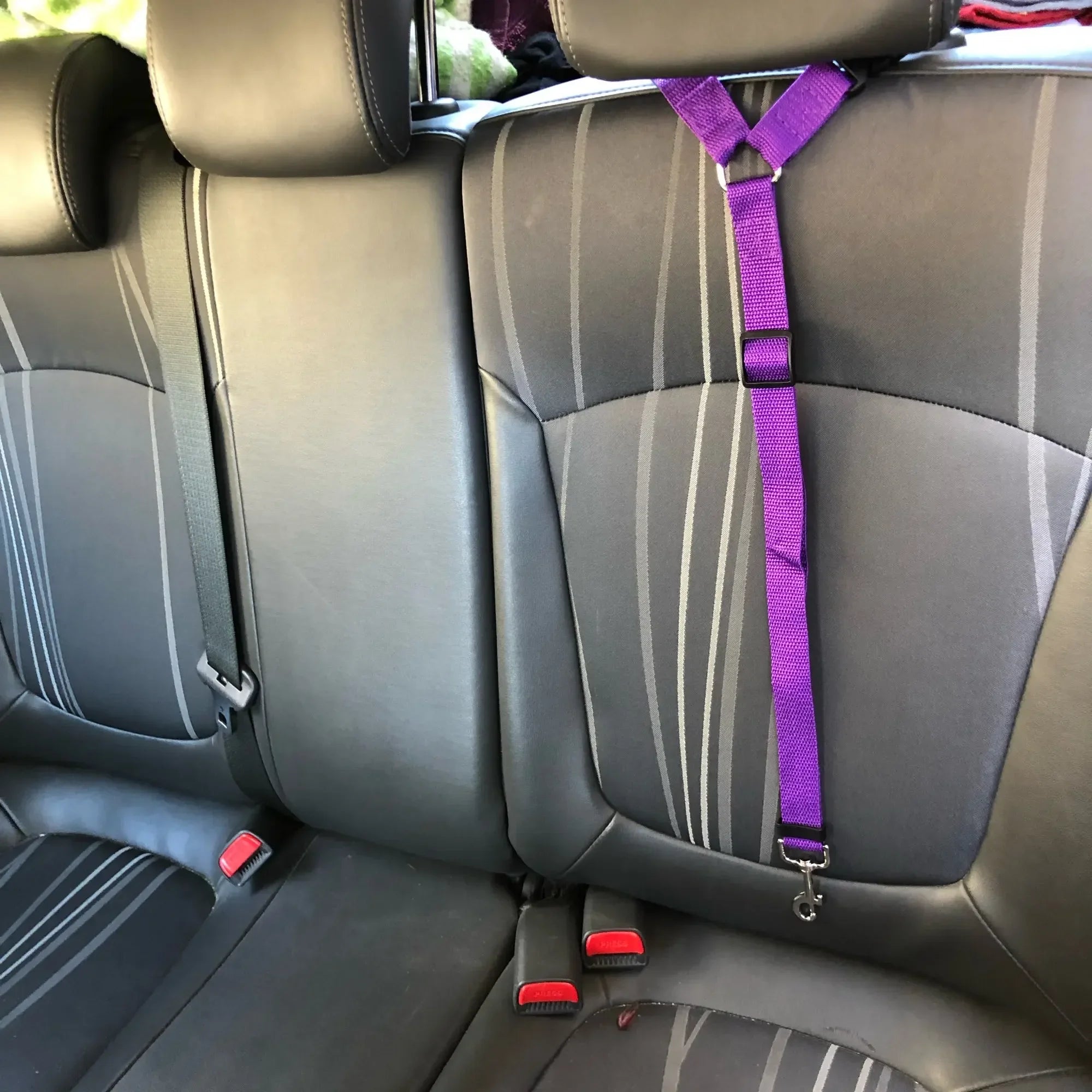 Dog Car Seat Belt: Harness & Leash Combo