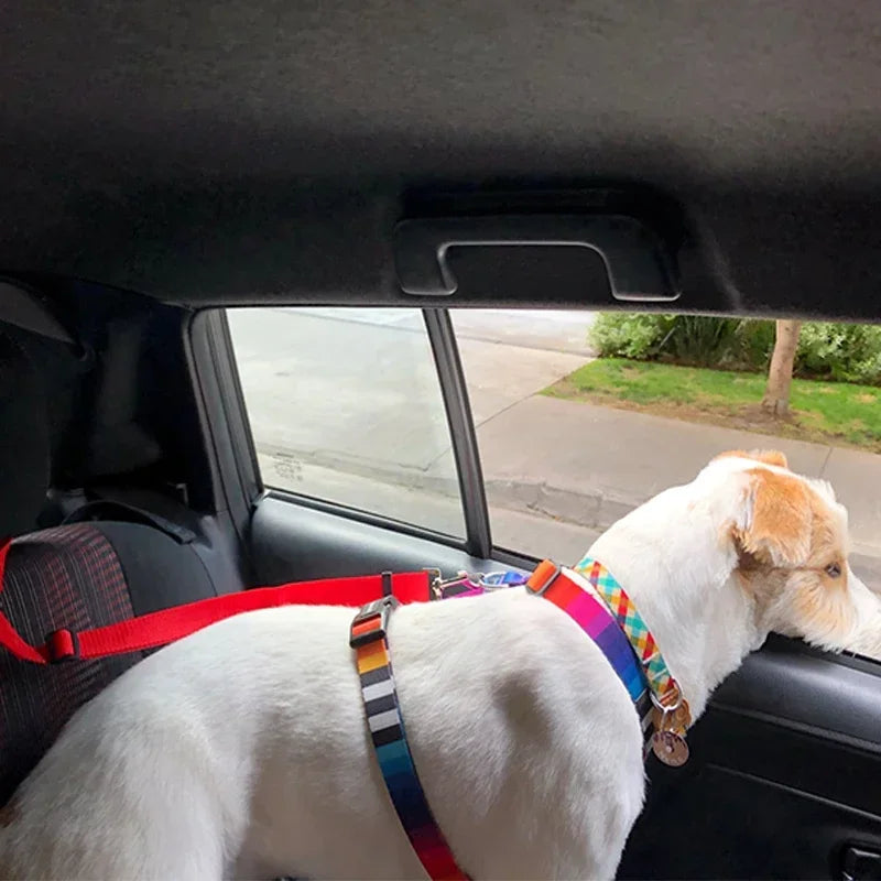 Dog Car Seat Belt: Harness & Leash Combo