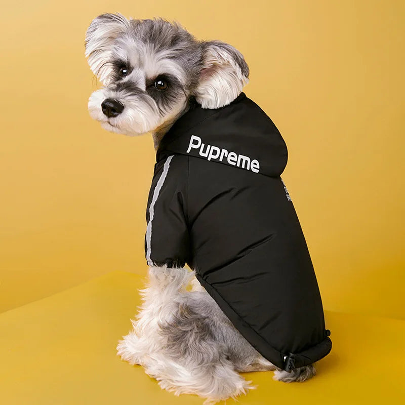 Dog Winter Coat: Waterproof, Reflective, Warm Fleece