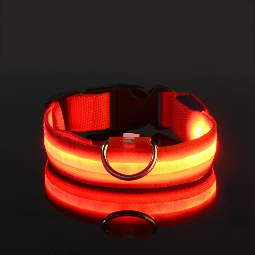 LED Dog Collar: Night Safety, Flashing, Luminous