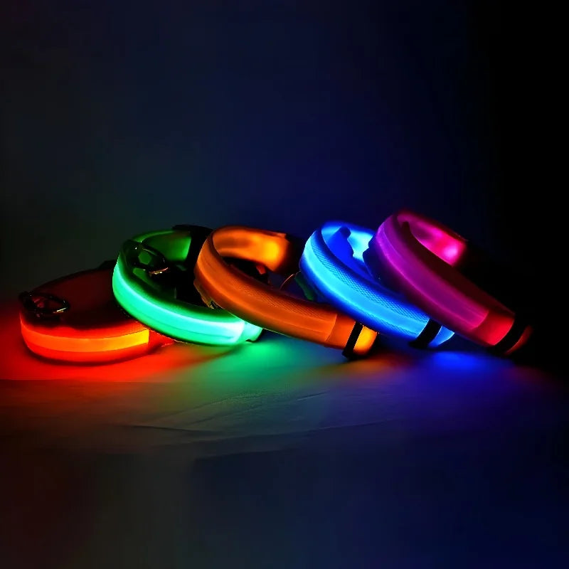 LED Dog Collar: Night Safety, Flashing, Luminous