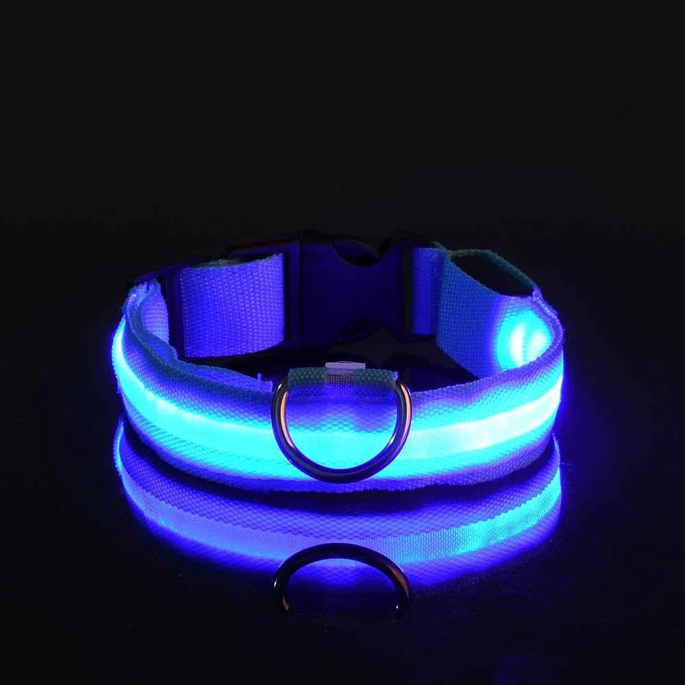 LED Dog Collar: Night Safety, Flashing, Luminous