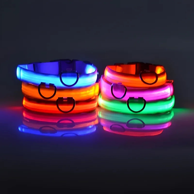 LED Dog Collar: Night Safety, Flashing, Luminous