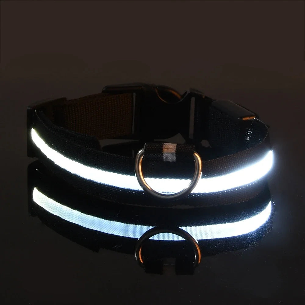 LED Dog Collar: Night Safety, Flashing, Luminous