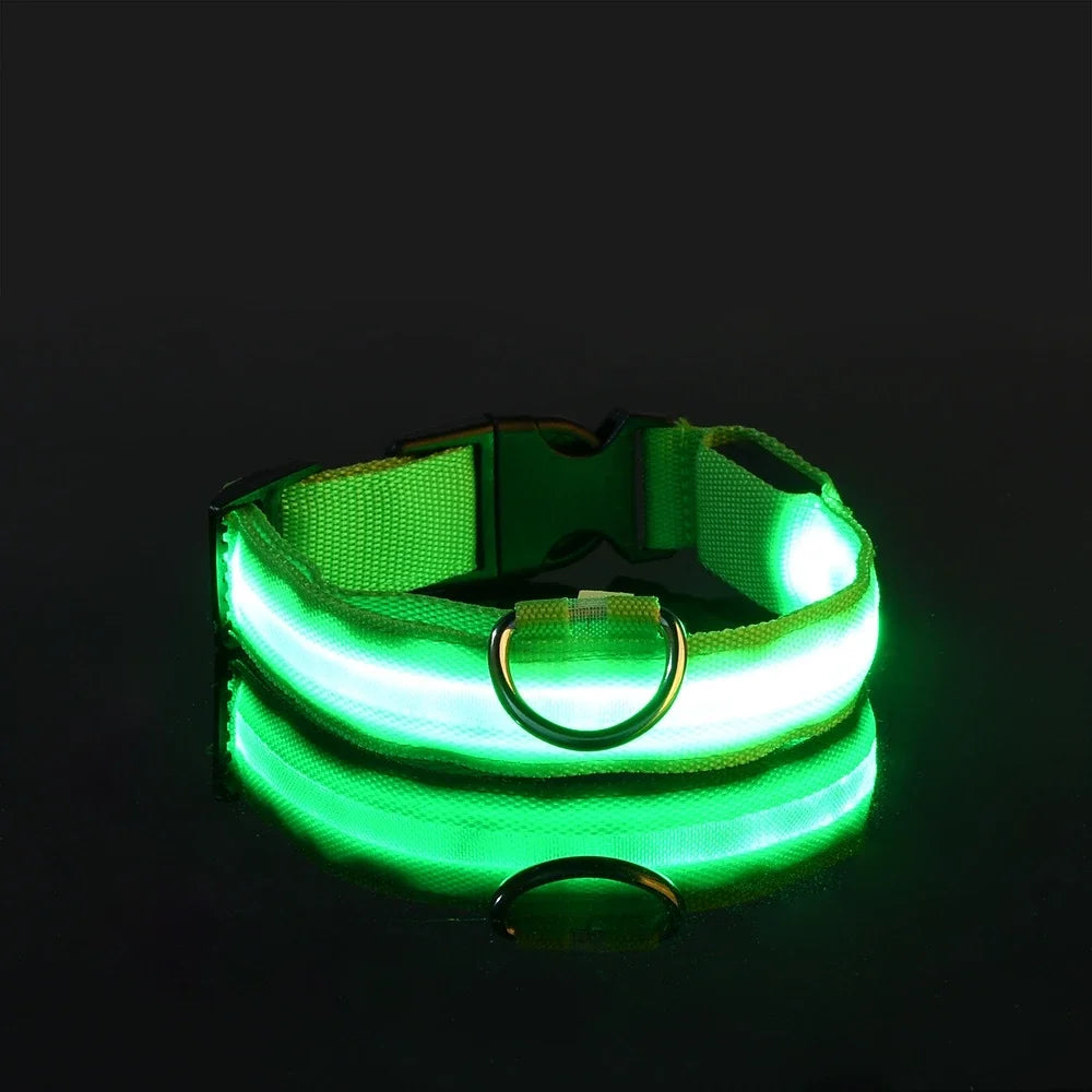 LED Dog Collar: Night Safety, Flashing, Luminous