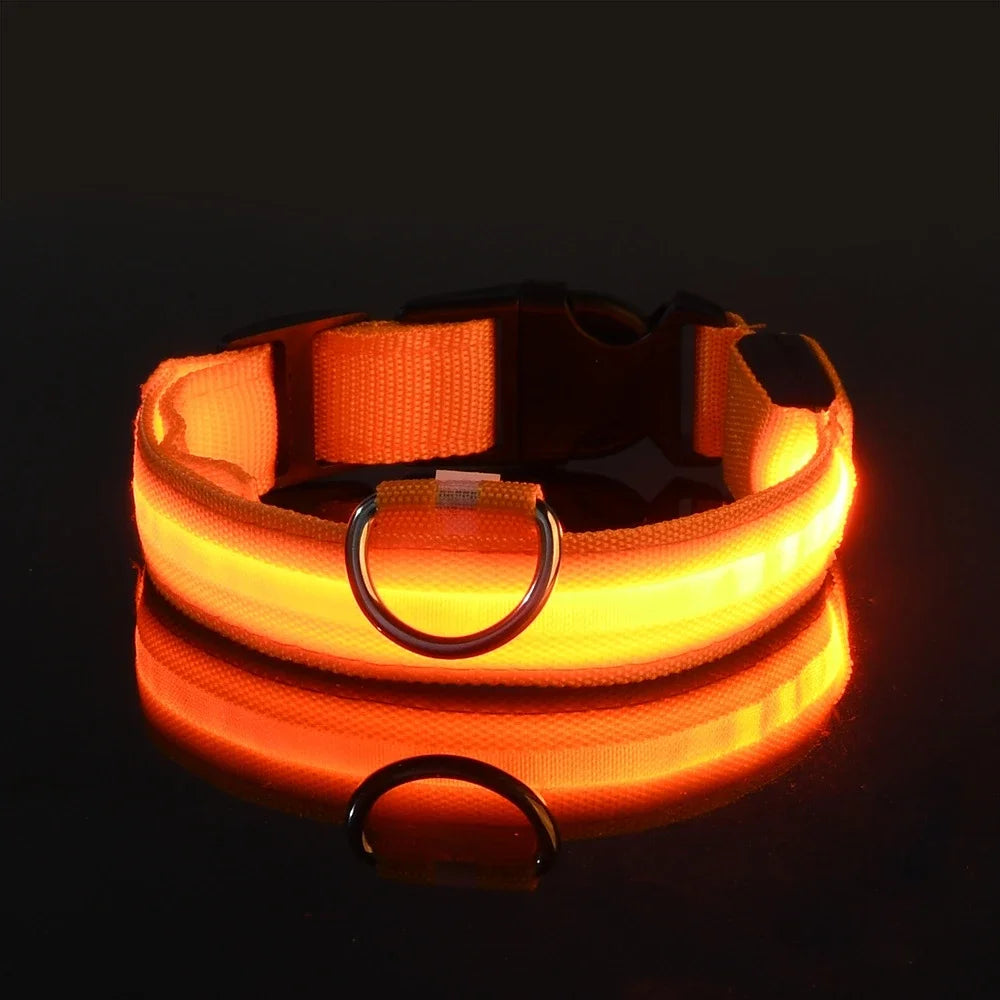 LED Dog Collar: Night Safety, Flashing, Luminous