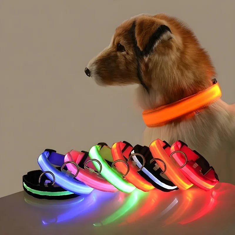 LED Dog Collar: Night Safety, Flashing, Luminous