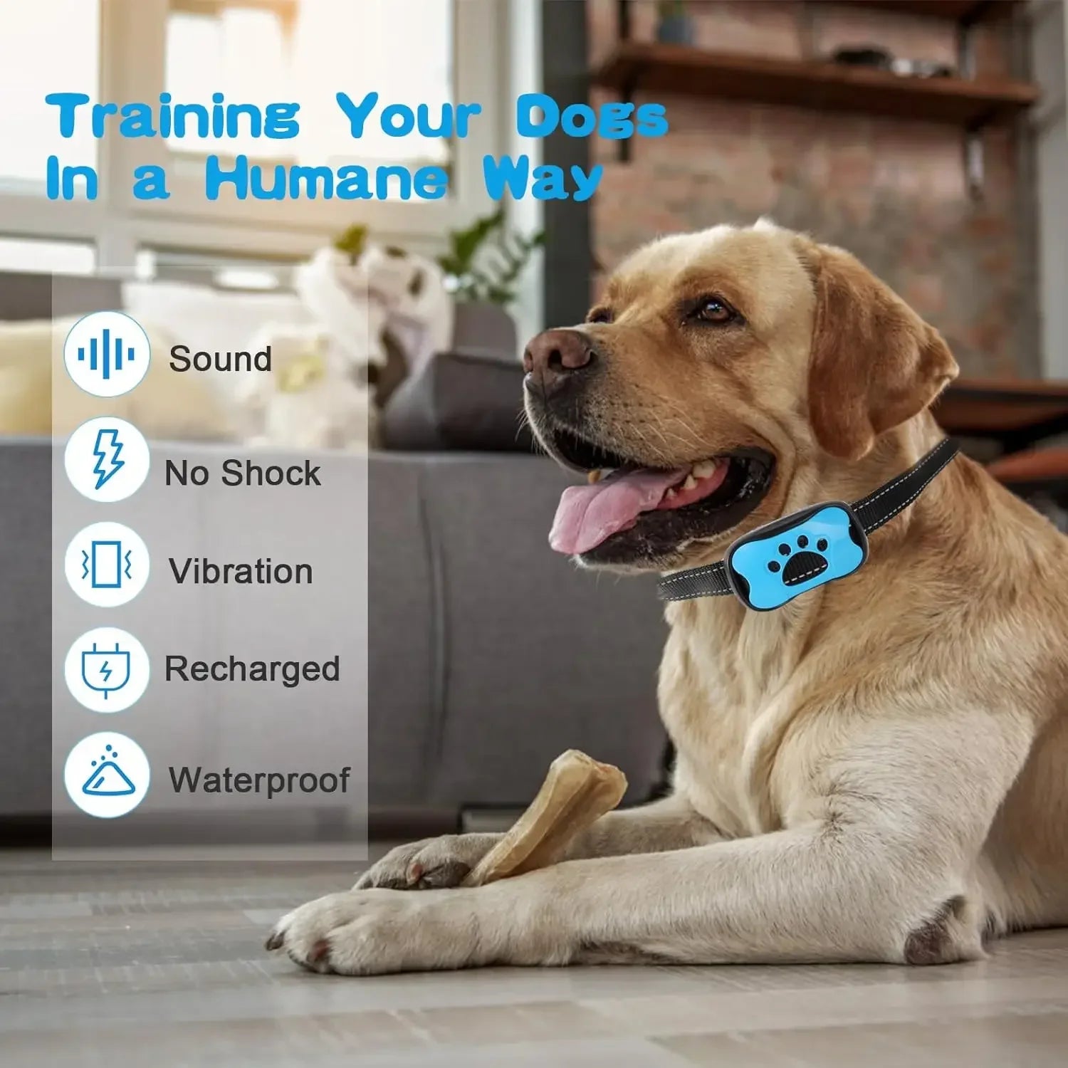 Ultrasonic Dog Bark Collar: Rechargeable, Anti-Bark Training