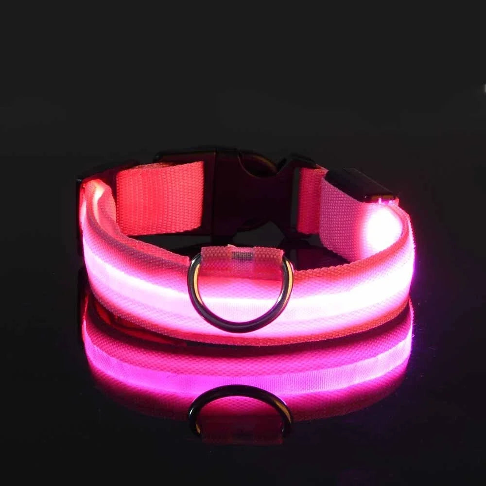 LED Dog Collar: Night Safety, Flashing, Luminous