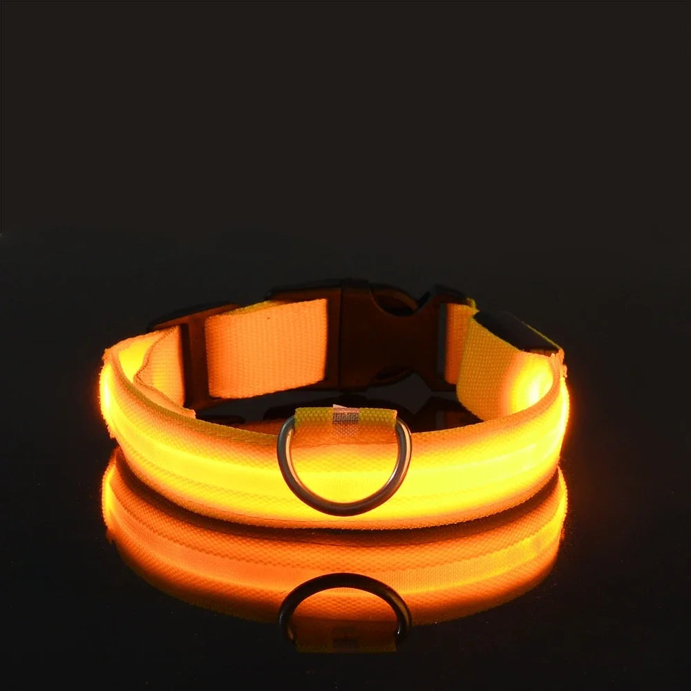 LED Dog Collar: Night Safety, Flashing, Luminous