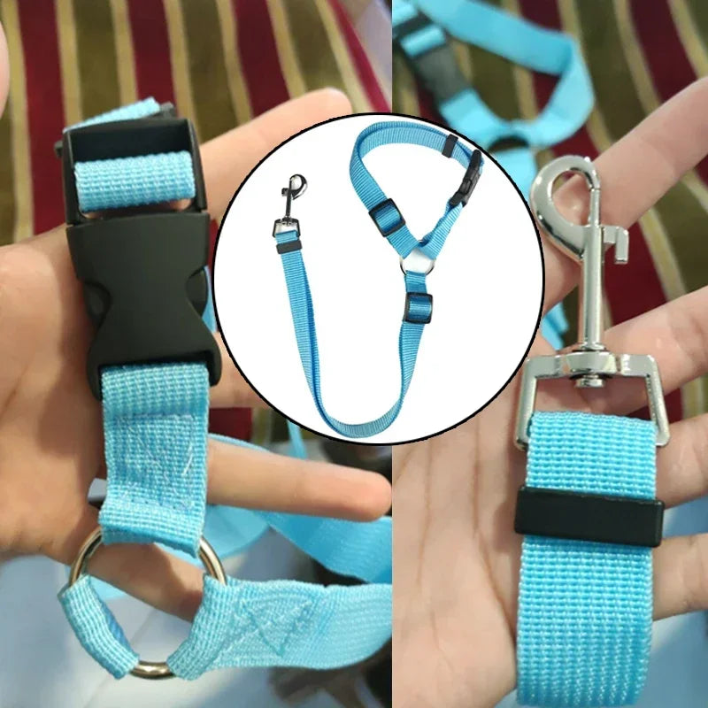 Dog Car Seat Belt: Harness & Leash Combo